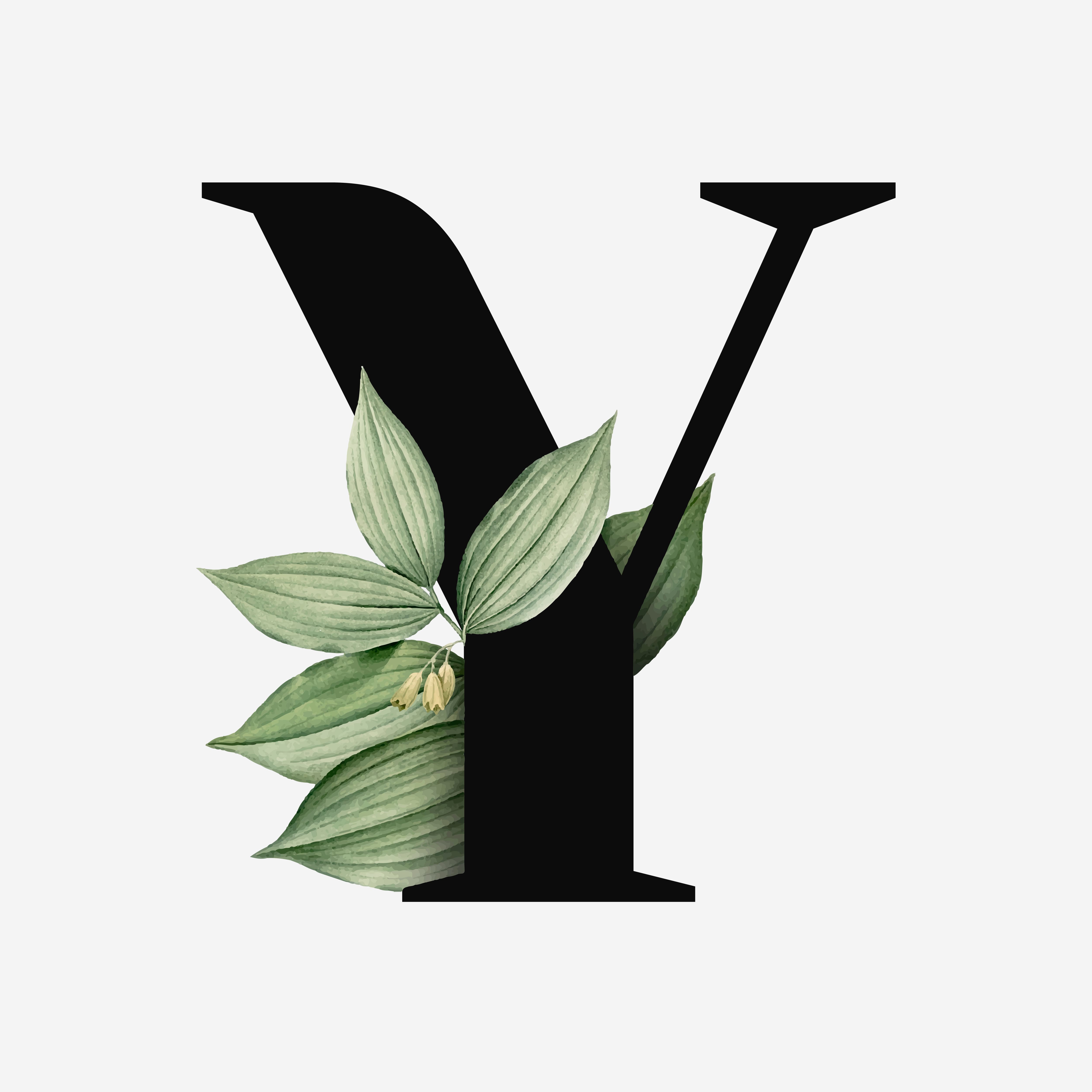 Y Product