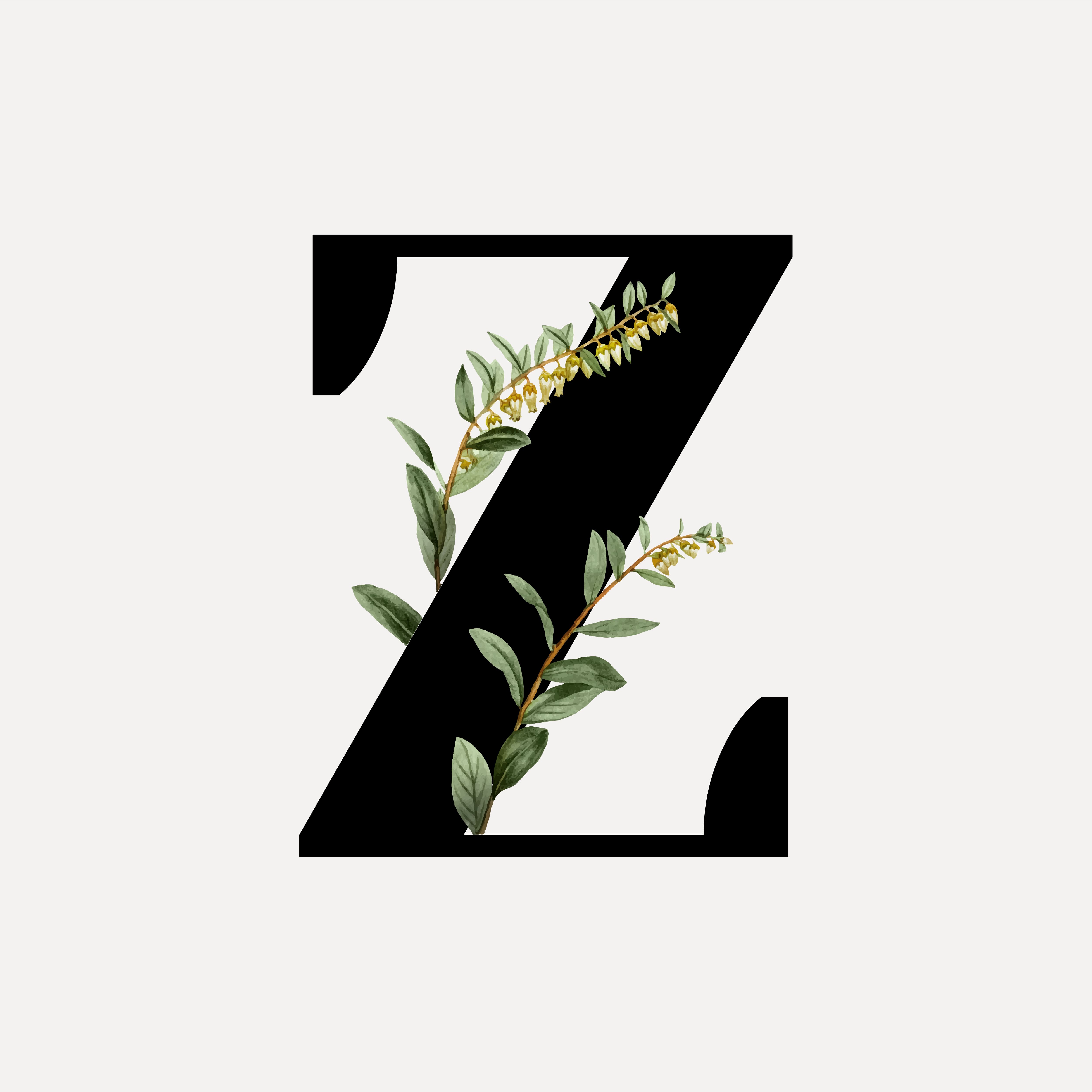 Z Product Free